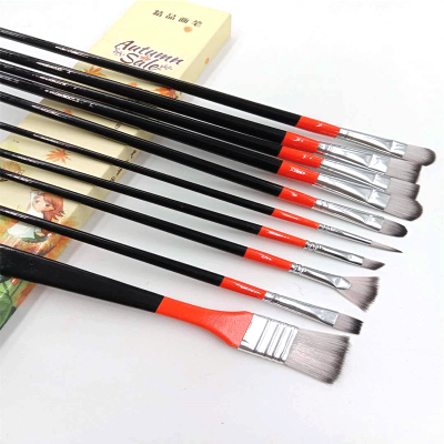 artist paint brush set, 10 different shapes acrylic tip oil painting brush srt supplies